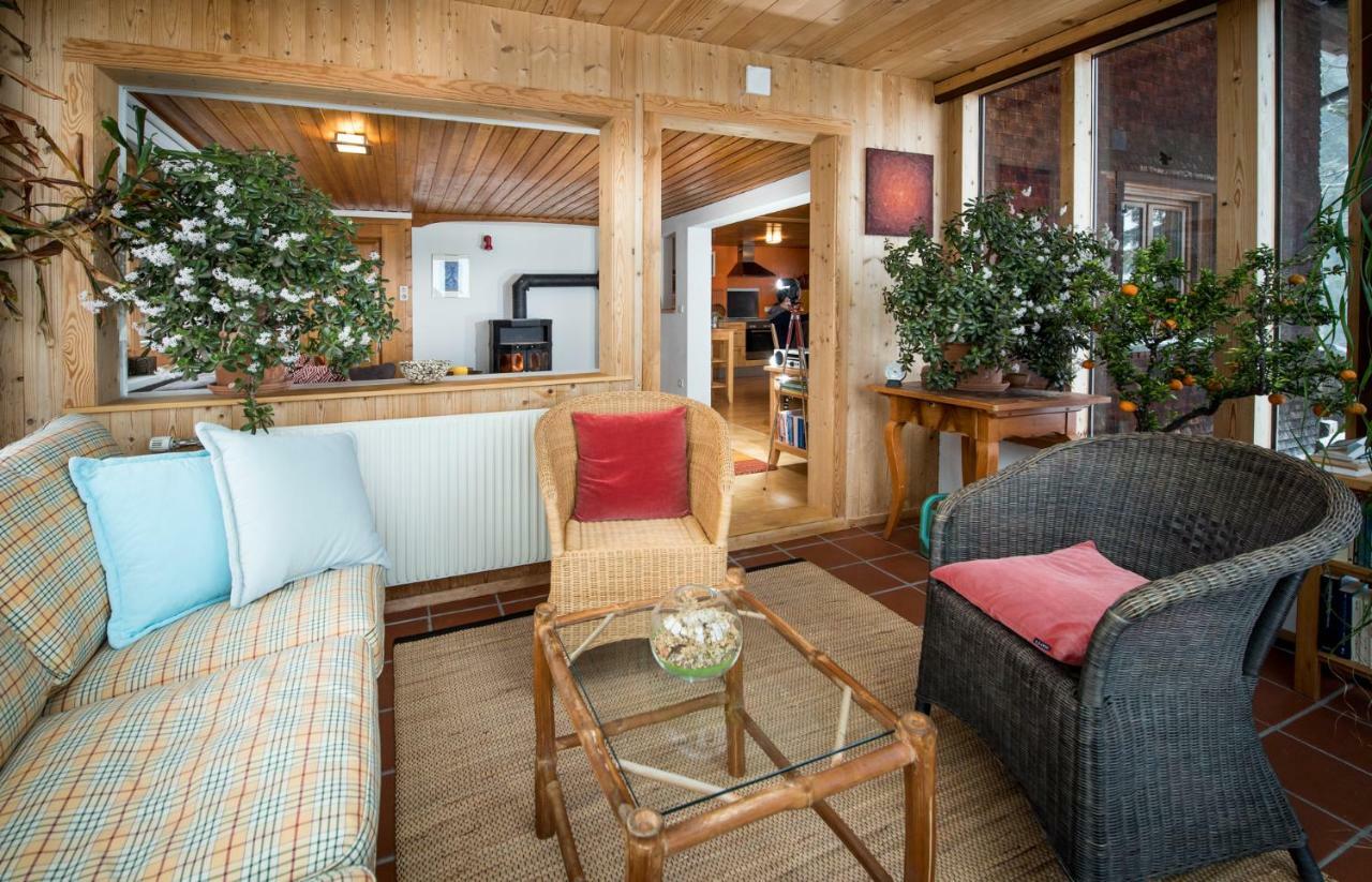 Ferienhaus Bergblick ชวาร์สเซนแบร์ก อิม เบรเกนซ์แอร์วัลด์ ภายนอก รูปภาพ